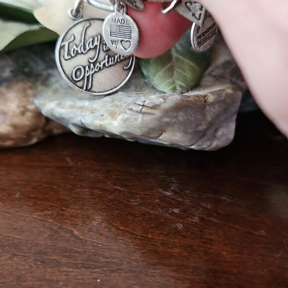 Alex and Ani Silver Charm Bracelet - Picture 3 of 8